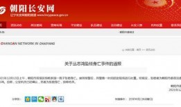 辽宁朝阳新闻爆料人是谁,揭秘辽宁朝阳新闻背后神秘爆料者